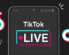 Cara Live di TikTok